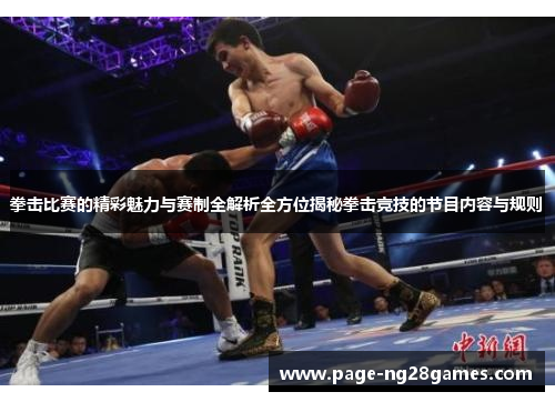拳击比赛的精彩魅力与赛制全解析全方位揭秘拳击竞技的节目内容与规则