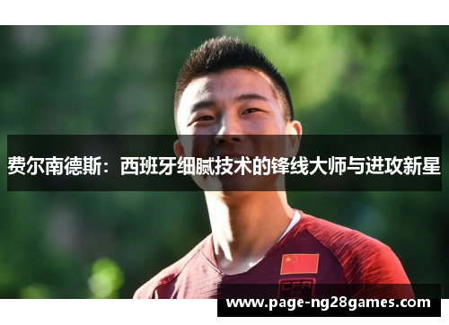 费尔南德斯：西班牙细腻技术的锋线大师与进攻新星